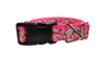 Rose Finch Bird Nylon Dog Collar