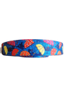 Umbrellas Nylon Dog Collar