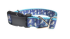 Kookaburra Bird Nylon Dog Collar