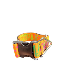 1.5" Wide Extra AF Chips & Guac Nylon Dog Collar