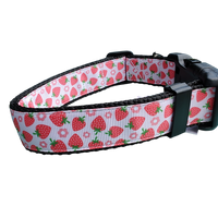 Strawberry Flowers Black Nylon Dog Collar MD, LG, XL, Leash