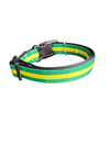 Green And Gold Nylon Dog Collar