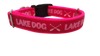 Lake Dog Pink Nylon Dog Collar