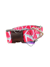 1.5" Wide Watermelon Slices Nylon Dog Collar