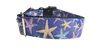 1.5" Wide Purple Starfish Nylon Dog Collar