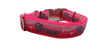 Powered By Bitchdust Nylon Dog Collar