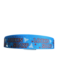 Lookin Sharp Nylon Dog Collar