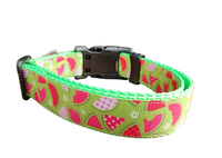 Watermelon Picnic Hot Pink Nylon Dog Collar MD, LG, XL, Leash