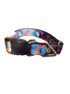 Umbrellas Nylon Dog Collar