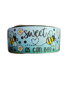 1.5" Wide Sweet As Can Bee Nylon Dog Collar