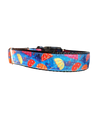 Umbrellas Nylon Dog Collar