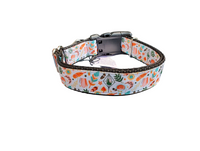 Feathers and Ferns Apothecary Nylon Dog Collar