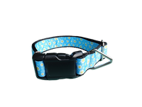 Daisies Nylon Dog Collar
