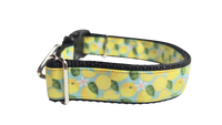 Lemons Nylon Dog Collar