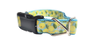 Lemons Nylon Dog Collar