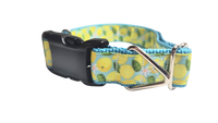 Lemons Nylon Dog Collar