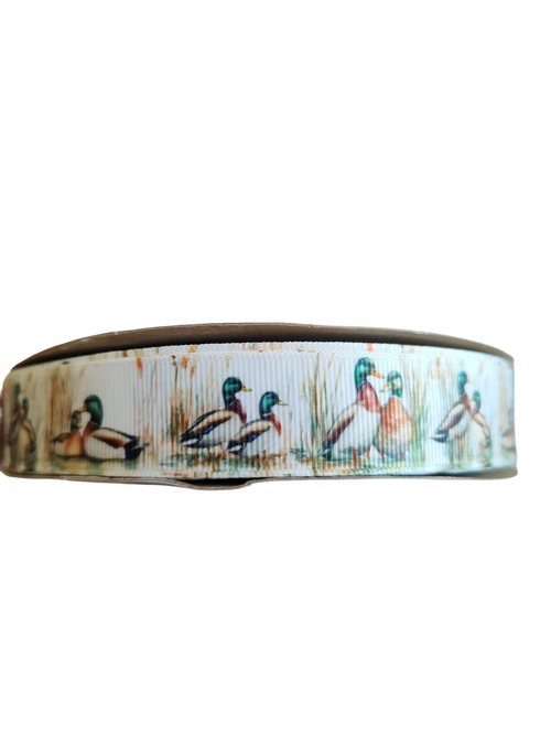 Mallard Duck Pair Nylon Dog Collar