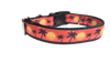 Beach Sunsets Nylon Dog Collar