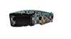 Squid Portraits Nylon Dog Collar