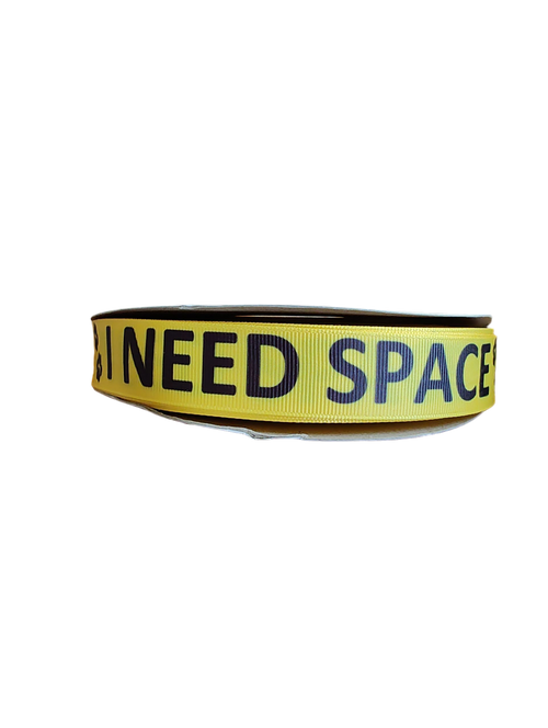I Need Space Nylon Dog Collar