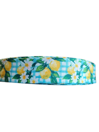Gingham Lemons Nylon Dog Collar