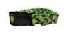 Pickles Nylon Dog Collar