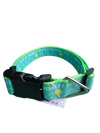 Fetch It Yourself! Neon Green Nylon Dog Collar MD, LG, XL, Leash
