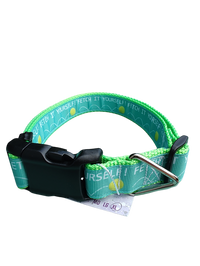 Fetch It Yourself! Neon Green Nylon Dog Collar MD, LG, XL, Leash