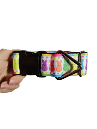 1.5" Wide Rainbow Marshmallow Bunnies Nylon Dog Collar
