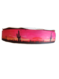 Sunset Cactus Nylon Dog Collar