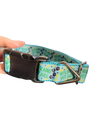 Walking Vet Bill Nylon Dog Collar