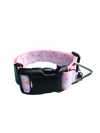 Ice Cream Pink Nylon Dog Collar MD, LG, XL, Leash