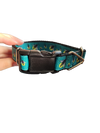 Lightning Bugs Nylon Dog Collar