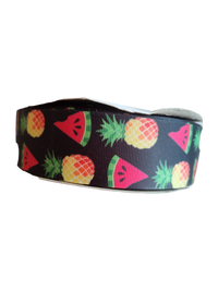 1.5" Wide Pineapple and Watermelon Nylon Dog Collar