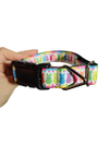 Rainbow Marshmallow Bunnies Easter Nylon Dog Collar
