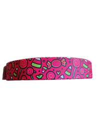 Hot Pink Candy Nylon Dog Collar