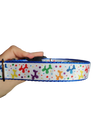 Rainbow Balloon Dogs Nylon Dog Collar