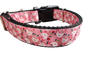 Christmas Chickens Nylon Dog Collar