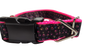 Colorful Pawprints Nylon Dog Collar