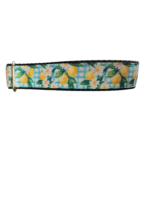 Gingham Lemons Nylon Dog Collar