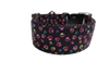 1.5" Wide Colorful Pawprints Nylon Dog Collar