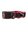 Neon UFO Nylon Dog Collar