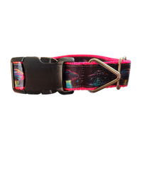 Neon UFO Nylon Dog Collar