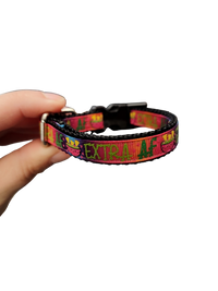 1/2" Extra AF Nylon Dog / Cat Collar