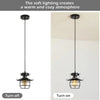 Rustic Black Pendant Light for Island with Adjustable Cage Design