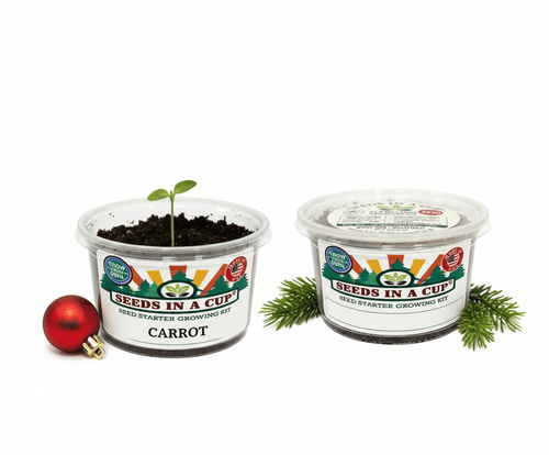 Carrot Grow Kit | Grow Carrot from Seed | Seeds In A Cup®