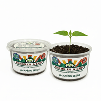 Cumin Grow Kit | Grow Fresh Cumin from Seed | Seeds In A Cup®