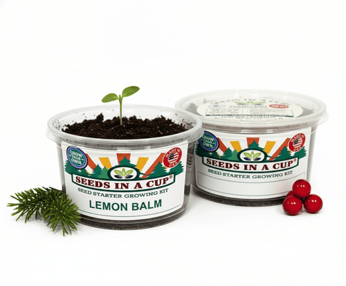 Lemon Balm Grow Kit | Grow Fresh Lemon Balm from Seed | Seeds In A Cup®