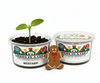 Mustard Greens Grow Kit | Grow Mustard Greens from Seed | Seeds In A Cup®