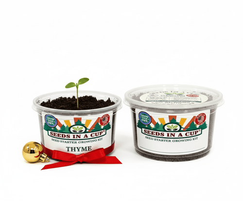 Oregano Grow Kit | Grow Fresh Oregano from Seed | Seeds In A Cup®